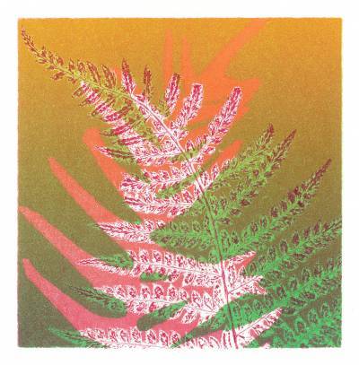 101 Ferns Ruth Thomas