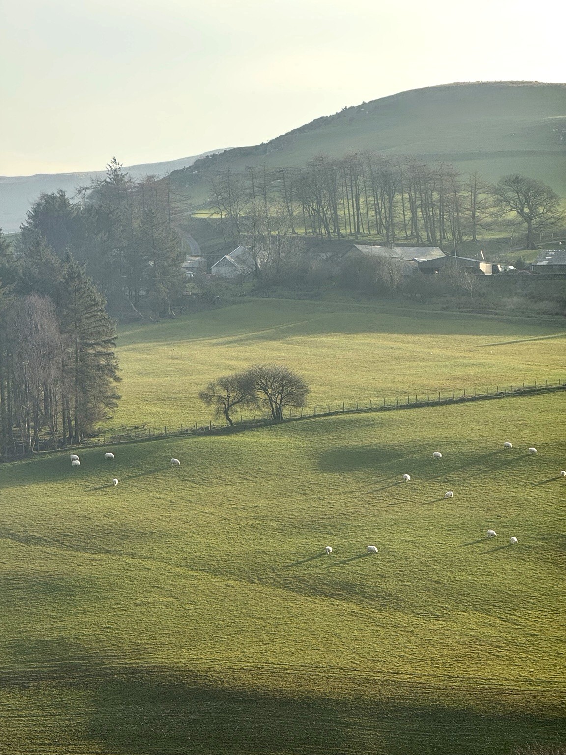 88 D67157 85 EE 41 F3 8 B05 C35 C58 C867 B8 pro