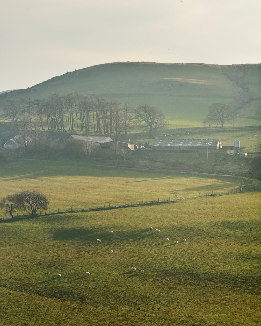 Pale_Hall_landscape_5