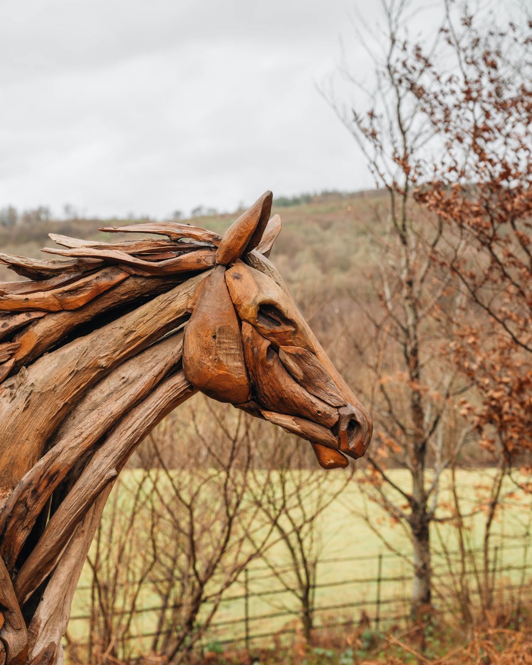 Explore our sculpture trail