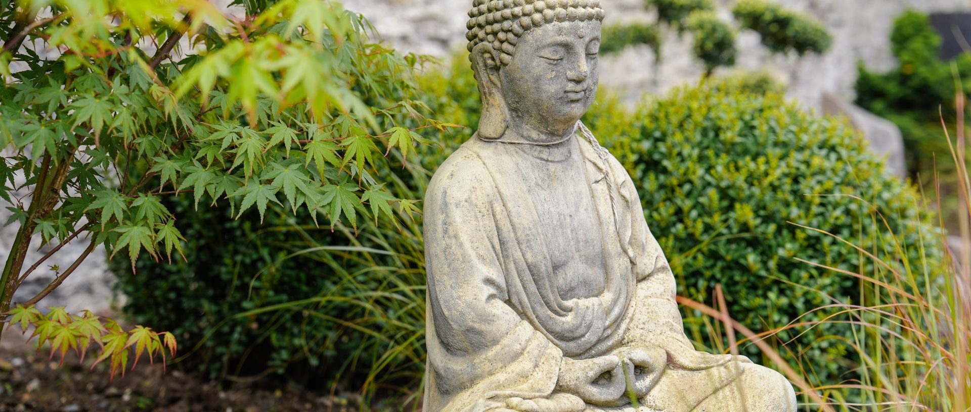 DSC00515 web 1920